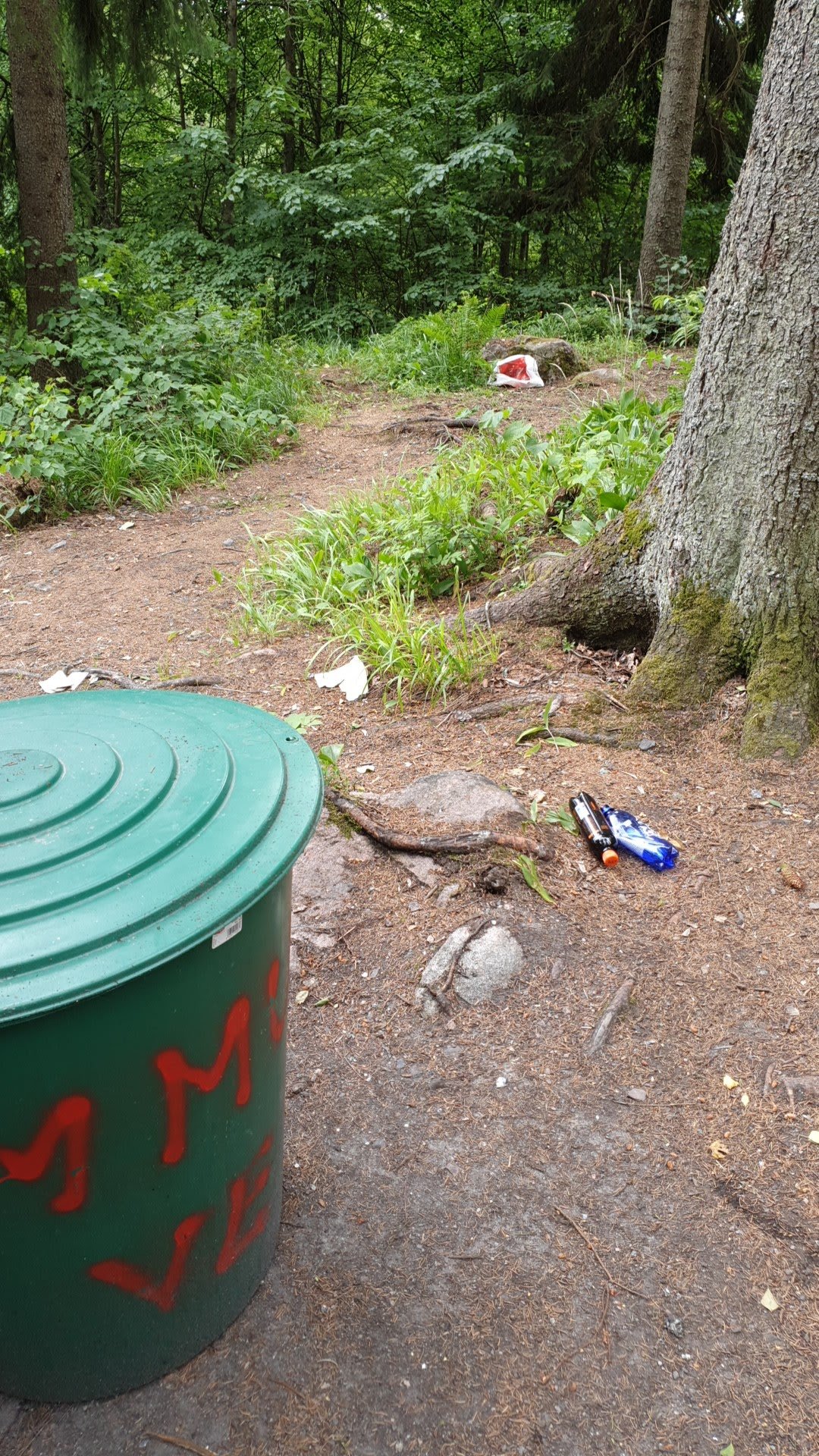 Kattilajärvi Campfire Site (Kattilajärven tulipaikka)